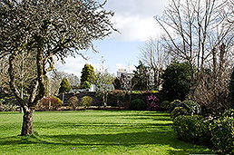 The garden at Galvins on the Green bed and breakfast